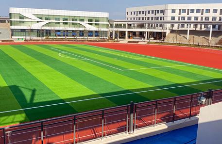 隨州市五豐學校人造草坪足球場